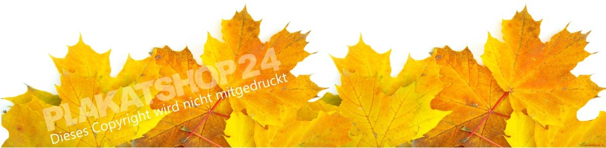 Klebefolie mit Herbstlaub für die Fensterdekoration zum Herbst