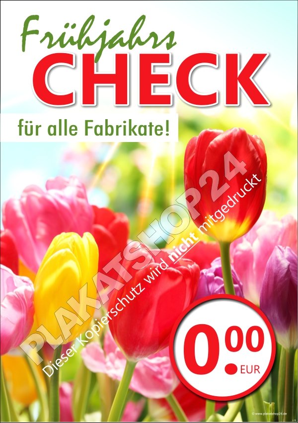 Plakat Frühjahrs-Check 