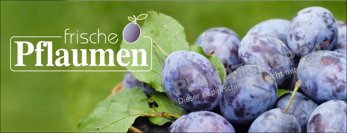 Werbebanner frische Pflaumen zu verkaufen Werbebanner frische Pflaumen zu verkaufen