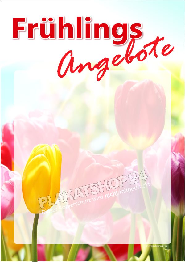 Frühlingsplakat mit Tulpenwiese für die Frühlingsdekoration