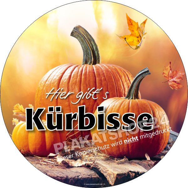 kuerbissaufkleber Aufkleber Kürbisse zu verkaufen