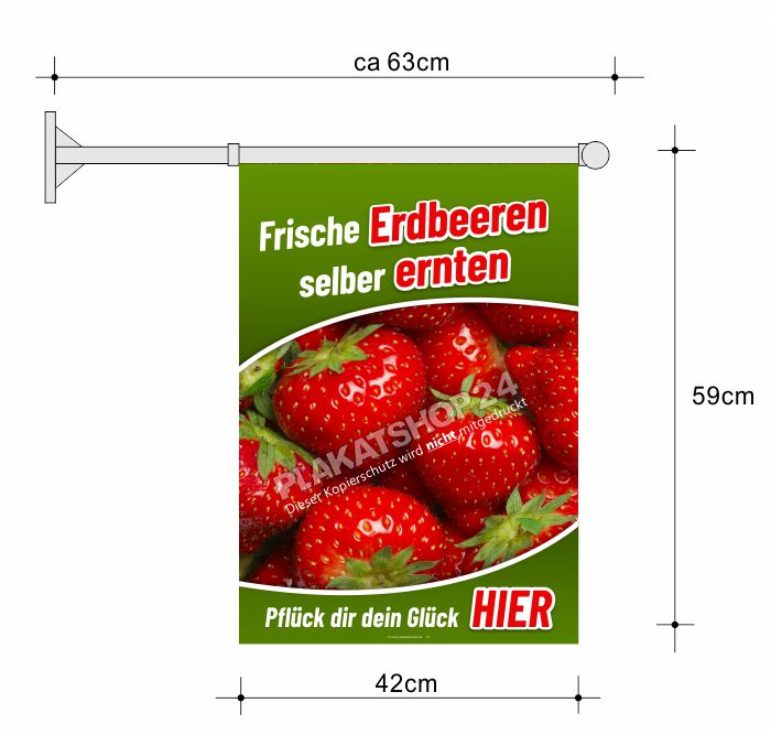 Stockfahne für Erdbeeren vom Feld ernten Stockfahne für Erdbeeren vom Feld ernten