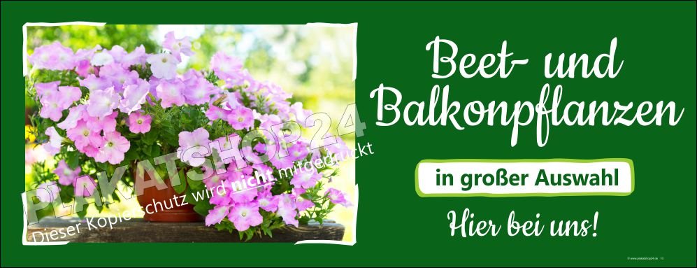 Werbebanner Beet- und Balkonpflanzen