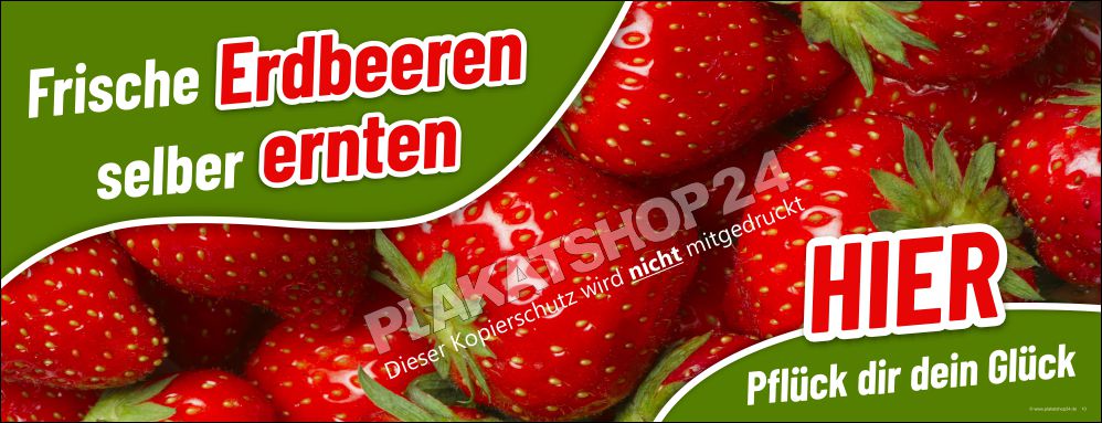 Erdbeeren zum selber ernten Werbeplane