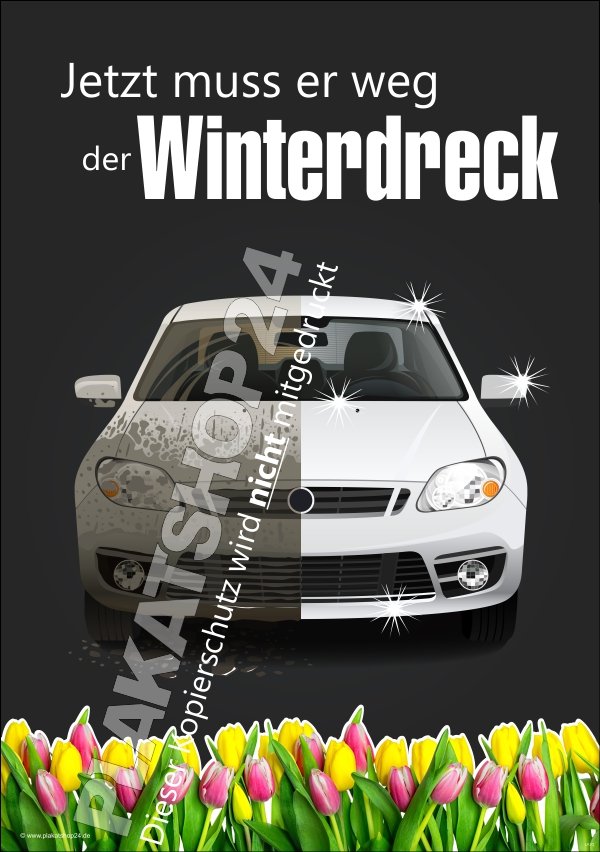 Werbeplakat für Autowaschanlage