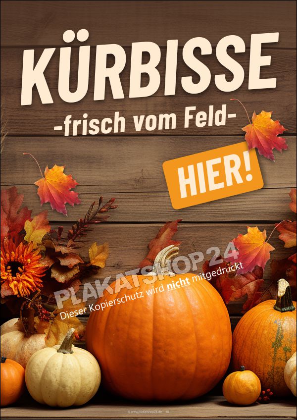 Kürbisse frisch vom Feld