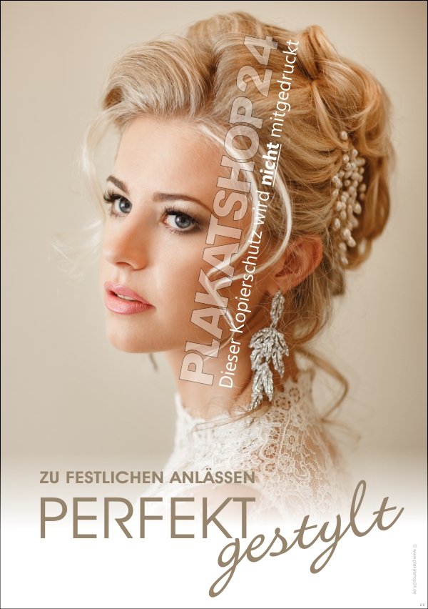 Frisurenposter zu festlichen Anlässen