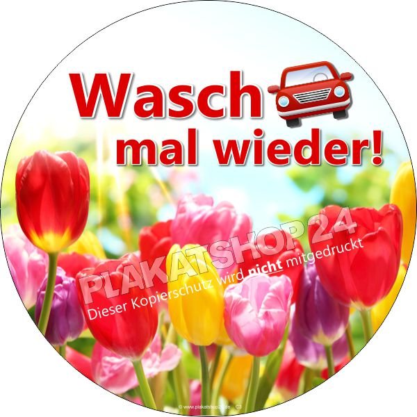 Frühlingsaufkleber Waschanlage / Autowäsche