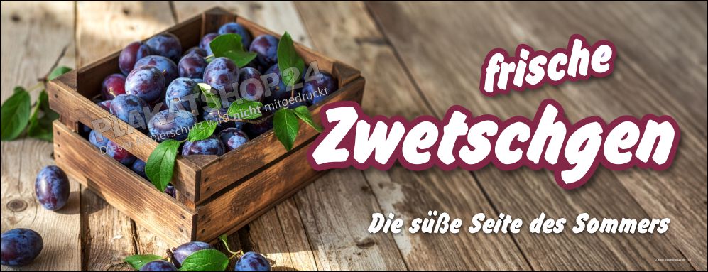 Werbebanner für den Verkauf von frischen Zwetschgen Werbebanner für den Verkauf von frischen Zwetschgen