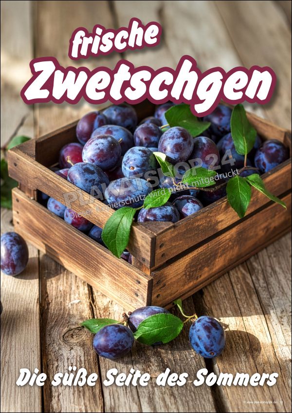 Werbeplakat für den Verkauf von frischen Zwetschgen