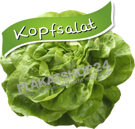 Hofladenaufkleber Kopfsalat