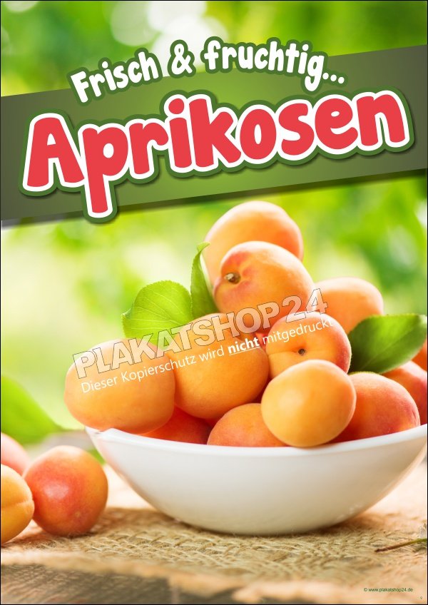 Aprikosenposter Aprikosenplakat für Hofladen/Obstbauern