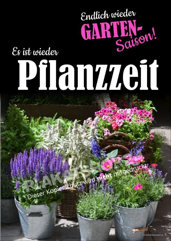 Plakat Floristik / Gärtnerei Pflanzzeit