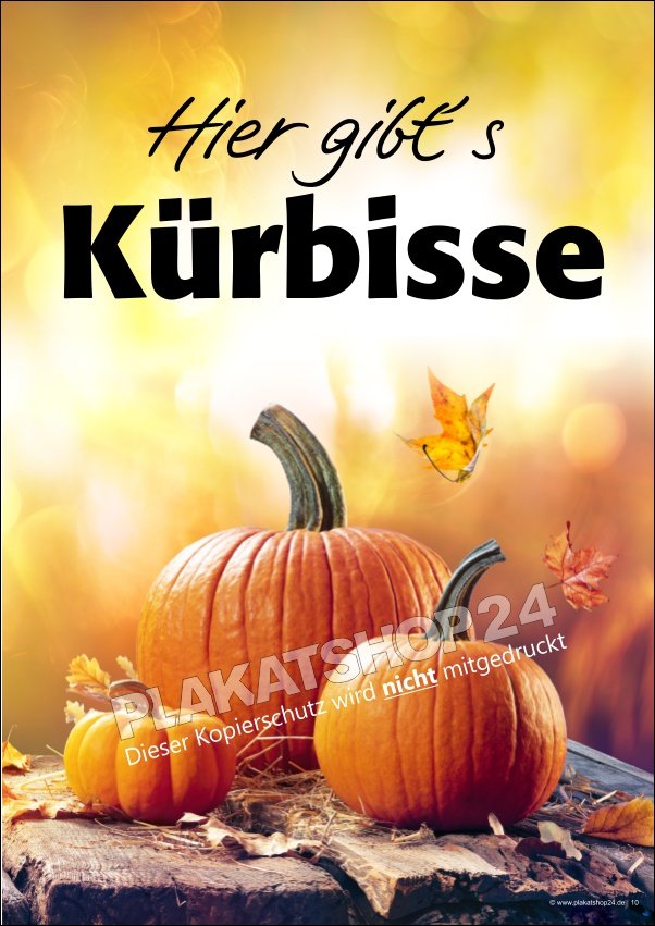 poster-kuerbisse Plakat Kürbisse zu verkaufen