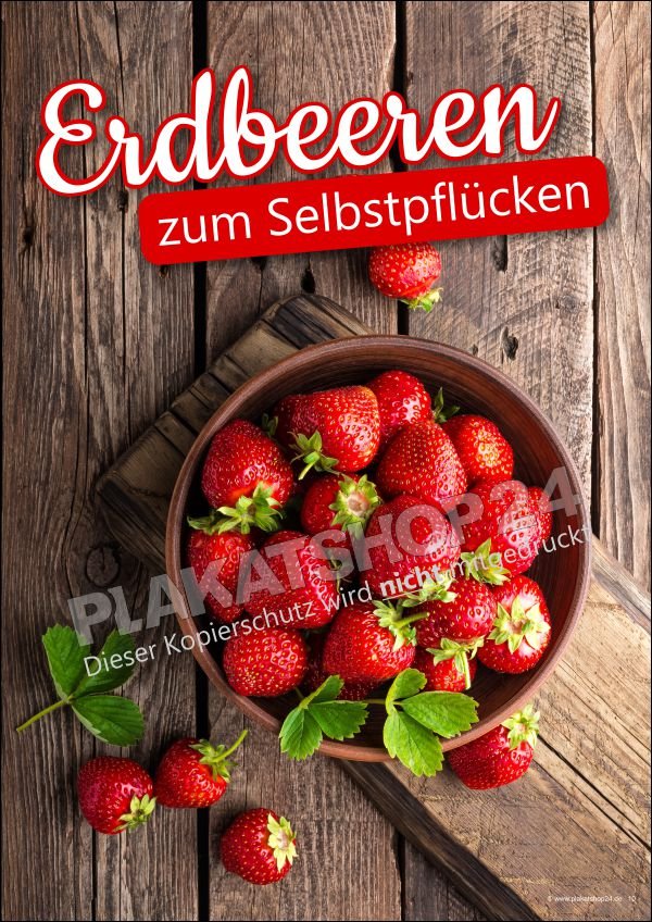 plakat-erdbeerzeit Werbeposter Erdbeeren zum Selberpflücken