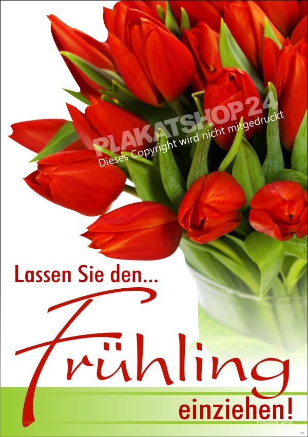 ae69870dac010d2b5c88c554b0407f90 Frühlingsposter für die Frühlingsdekoration von Schaufenster und Laden