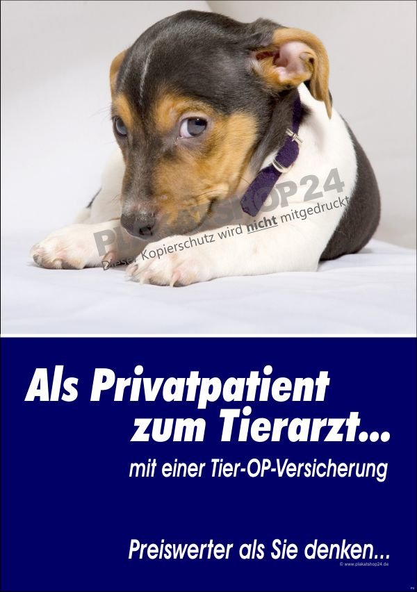 Versicherungs-Werbeplakat für Tierversicherung