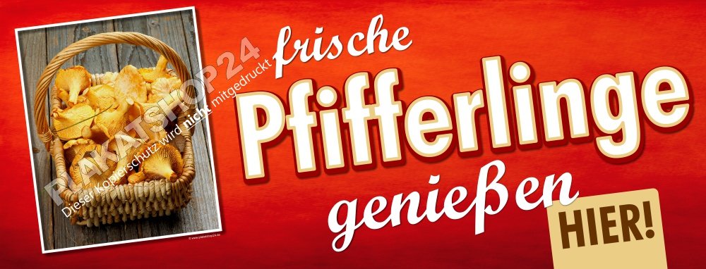 Banner frische Pfifferlinge
