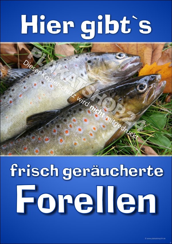 XA7738 Plakat Hier gibts es frisch geräucherte Forellen