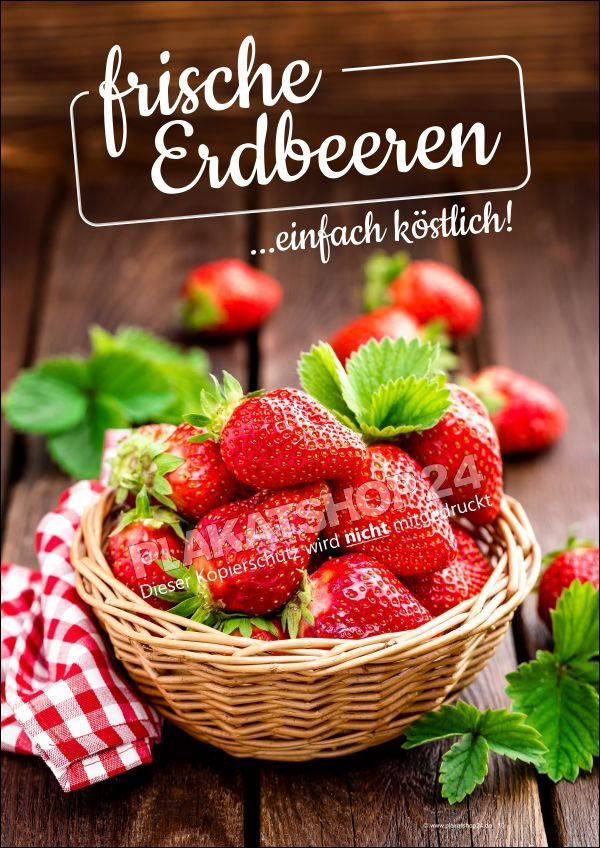 Erdbeerplakat Hofladenreklame Plakat frische Erdbeeren