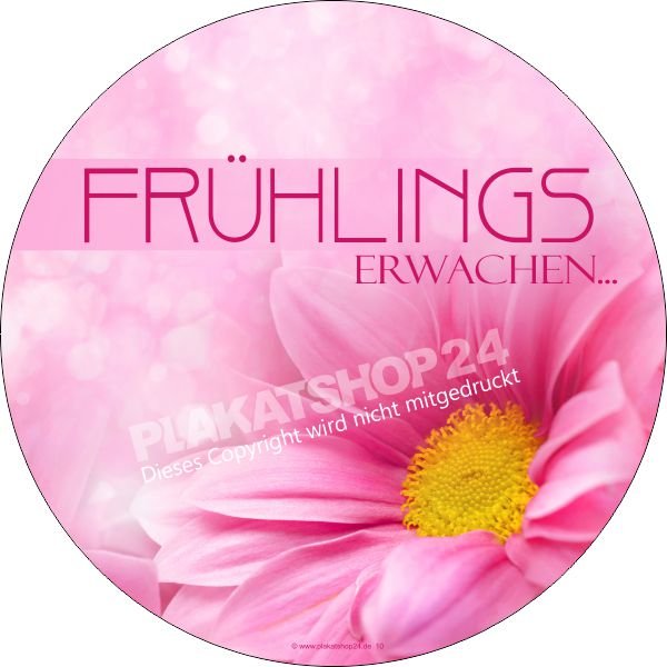 2c2385e612fc9260ab1cfddda811804e Frühling-Fensterfolie für die Frühlingsdekoration im Einzelhandel