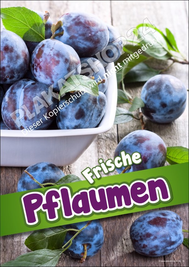 Günstiges Obstplakat Pflaumen Hofladen/Wochenmarkt