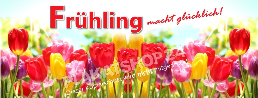 e34f304c2428784fa0e38f7ba8687938 Neues Frühlings-Dekobanner für die Frühlingswerbung