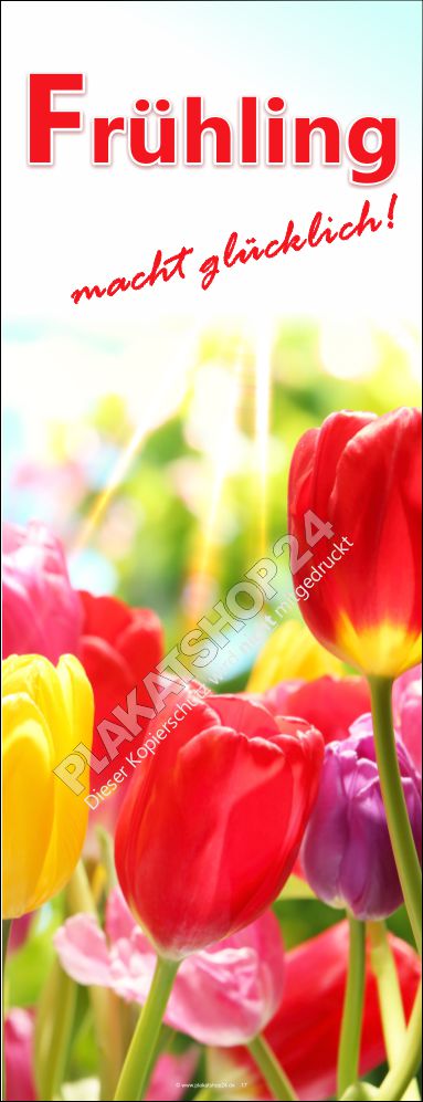 Aktuelles Frühlings-Dekobanner mit farbenfrohem Tulpenmotiv
