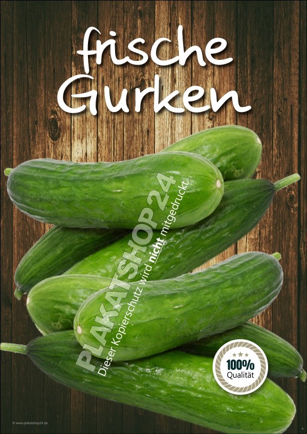 Plakat frische Gurken