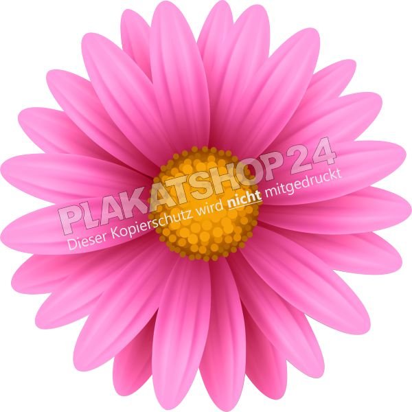 blumenaufkleber-pink Aufkleber Blütenkopf in Pink