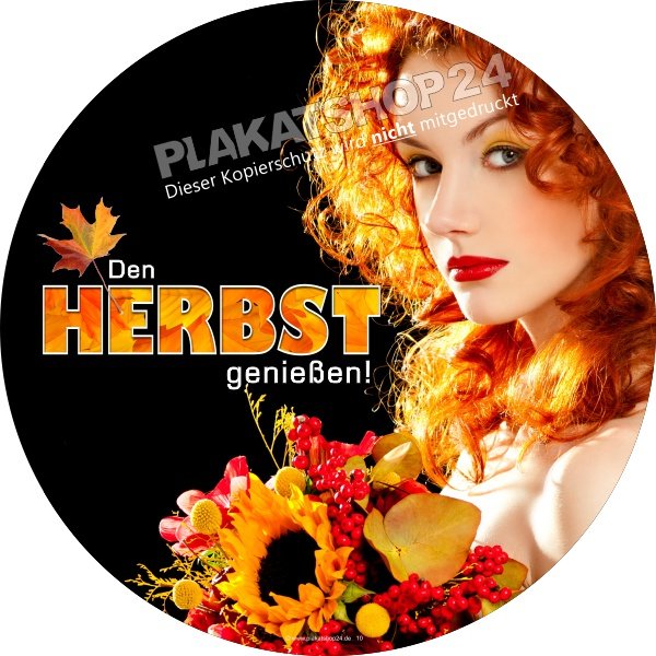 Schaufensterfolie für Herbstdekoration