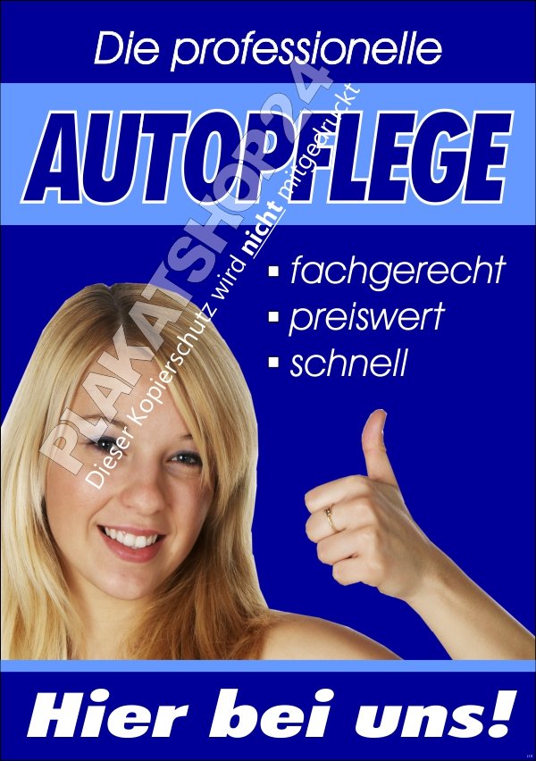 Plakat professionelle Autopflege