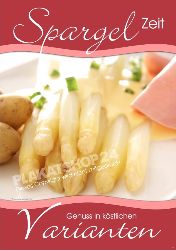 Werbeplakat frischer Spargel für Bewerbung von Spargelgerichten in Gaststätte, Restaurant etc.