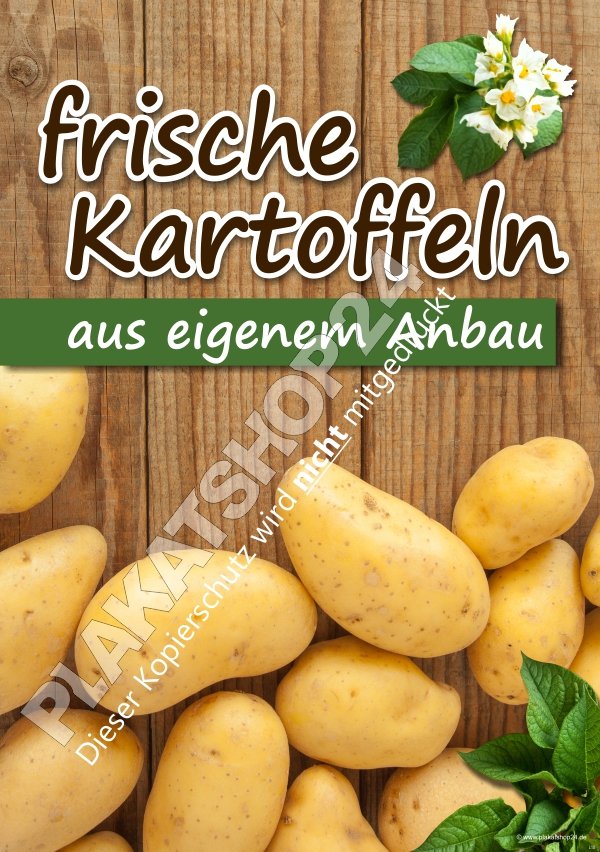 Plakat frische Kartoffeln aus eigenem Anbau, für Ihren Hofladen