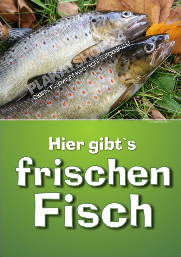 Werbeplakat frischer Fisch für den Fischverkauf
