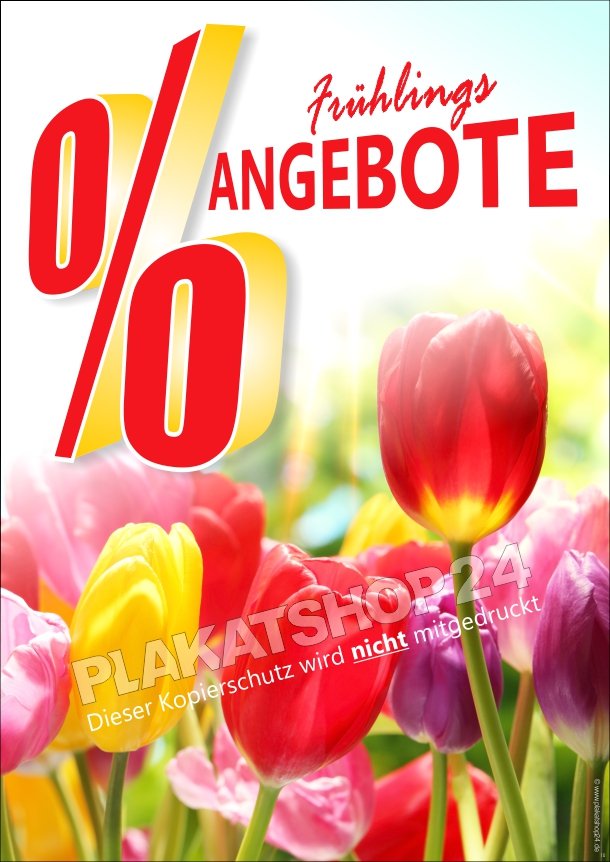 Frühlings Angebots-Plakat mit Tulpen
