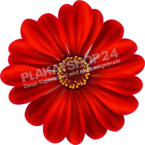 Klebefolie rote Sommerblume