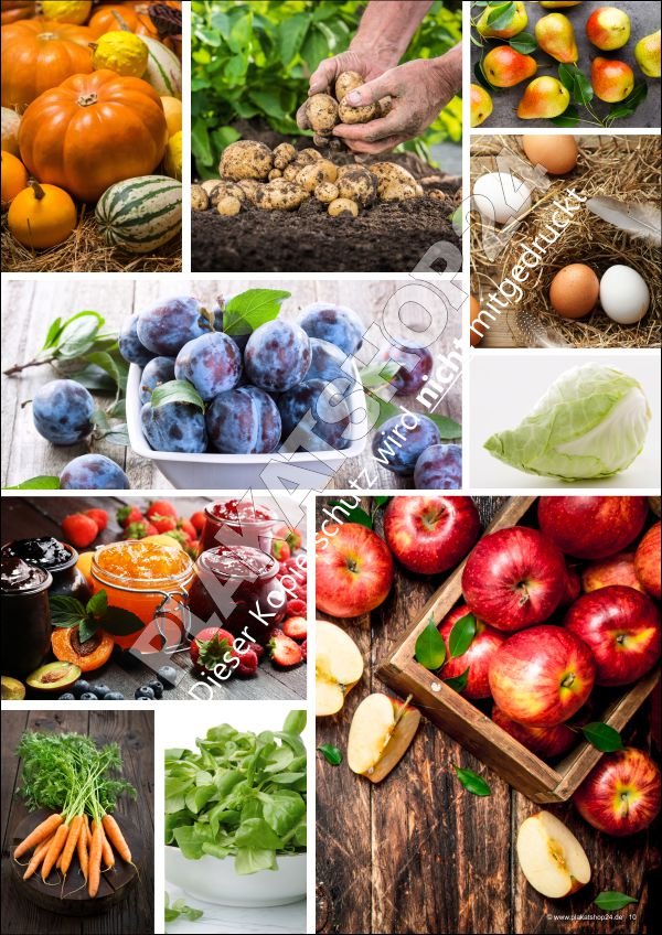 Hofladenplakat Kollage Obst und Gemüse