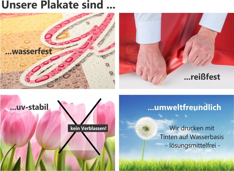 Pralinenplakat für Confiserie, Chocolatiers, Café