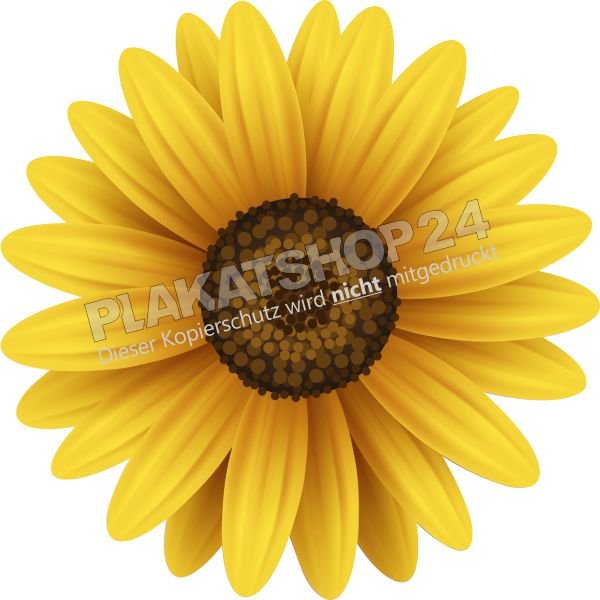 Blumensticker gelbe Sommerblume