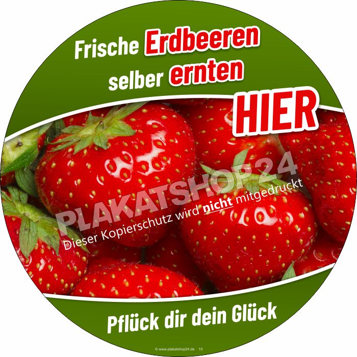 Feldfrische Erdbeeren Klebefolie Feldfrische Erdbeeren Klebefolie