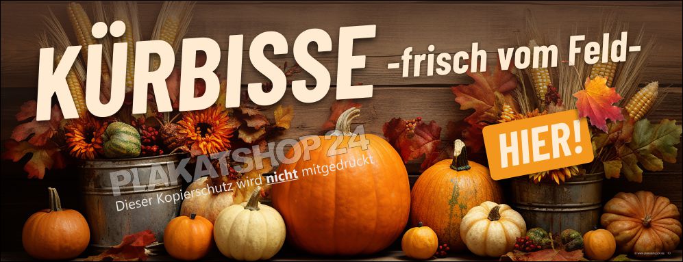 Werbebanner für Kürbisse frisch vom Feld