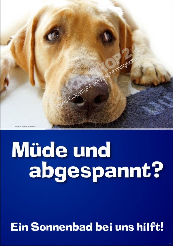 904a8dab2c55e5534a00cd75226e09f1 Lustiges Werbeposter für Sonnenstudio und Solarium