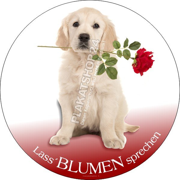 Lass Blumen sprechen - Werbeaufkleber mit Hund