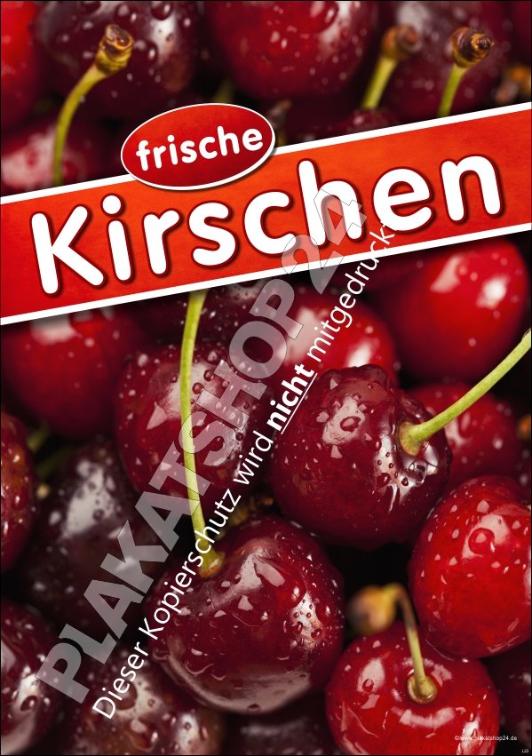 Plakat frische Kirschen für Obstbau und Obsthandel, Hofladen