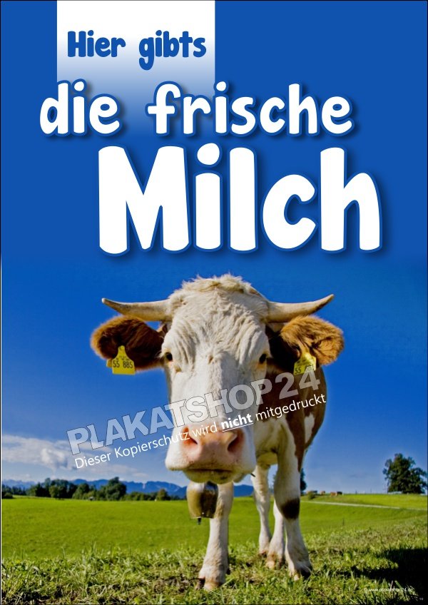 Milchplakat für Verkauf frische Milch