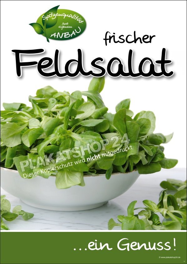 Plakat frischer Feldsalat