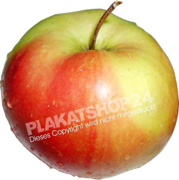 Aufkleber Apfel Werbefolie mit Bild frischer Apfel
