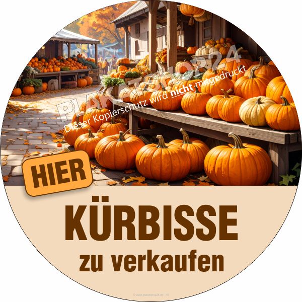 Schaufensteraufkleber Kürbisse zu verkaufen Schaufensteraufkleber Kürbisse zu verkaufen