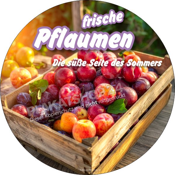 Werbefolie selbstklebend für den Verkauf von frischen Pflaumen Werbefolie selbstklebend für den Verkauf von frischen Pflaumen